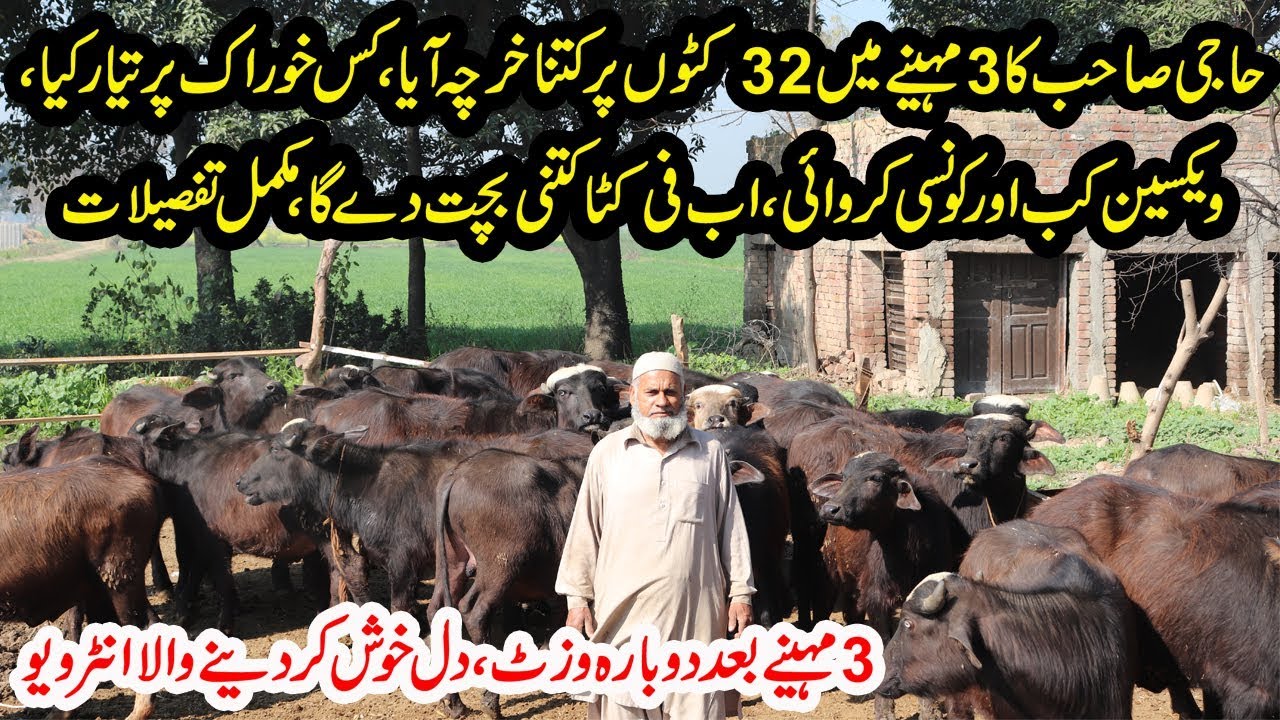 Katta Farming | Result of Katta Farming in 3 Months | Katto Ko Kis Feed Par Tyar Karna Chahye