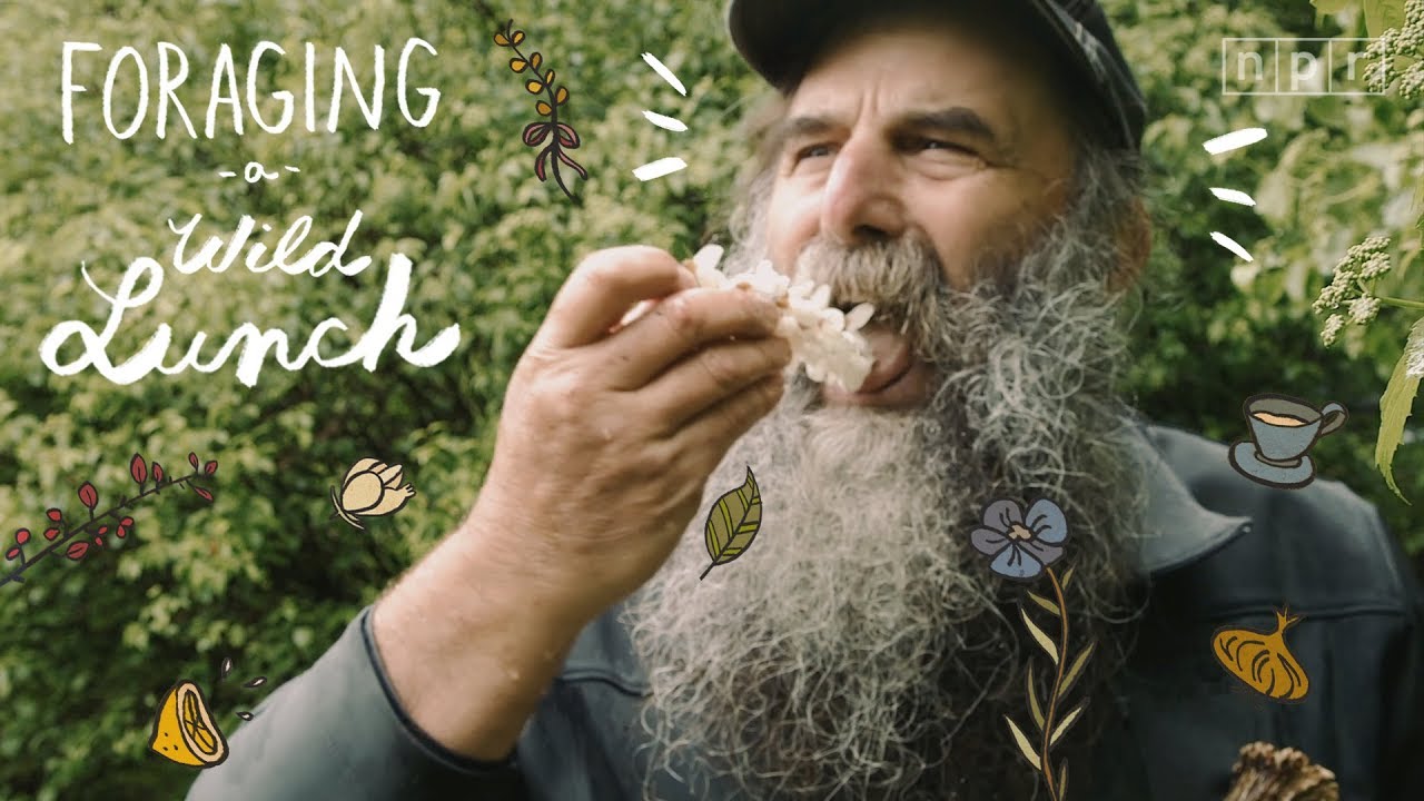 Foraging a Wild Lunch | The Salt | NPR