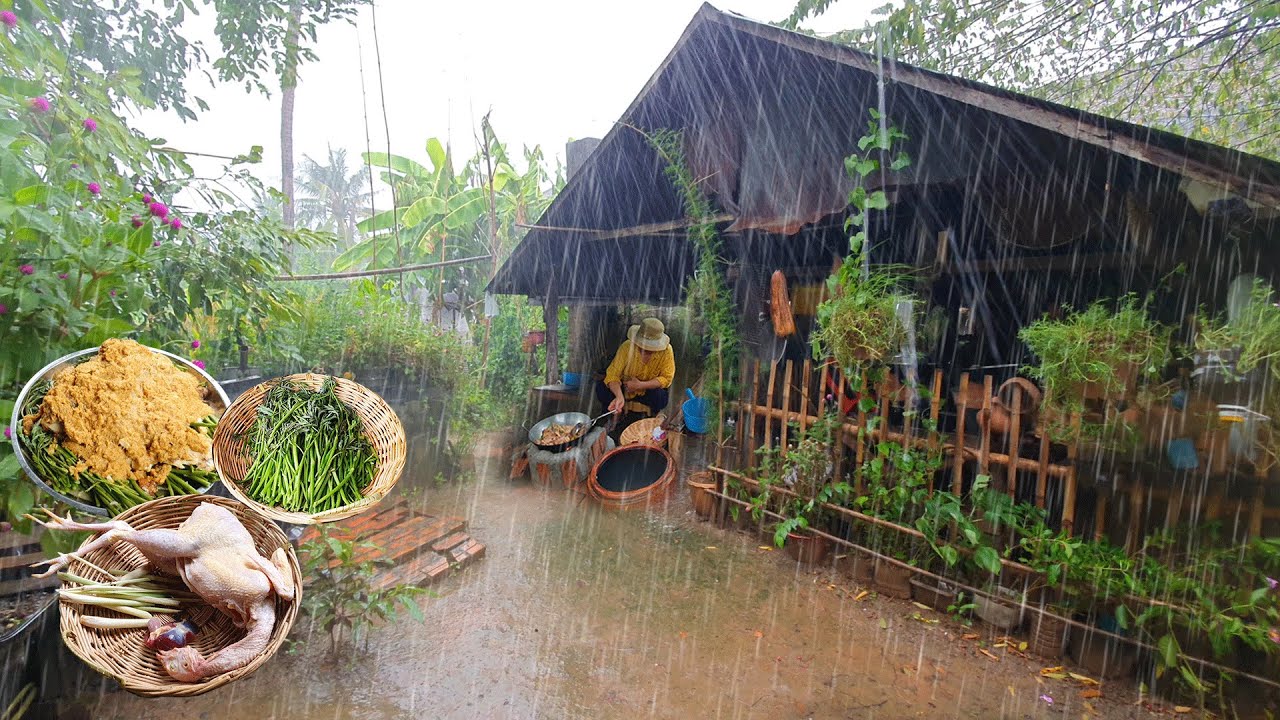 Simple Life, Delicious Food | Rainy Day Cooking in the Village