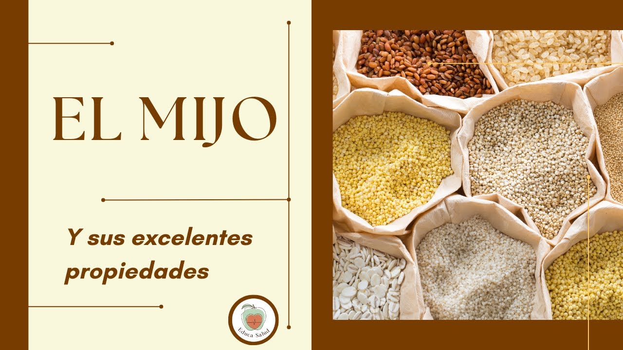 EL MIJO. Muy Nutritivo y Sin Gluten