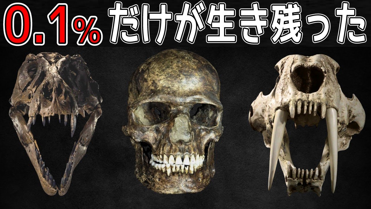 【1500万年の壁】99.9％の種が必ず滅びる理由がガチでヤバ過ぎた【絶滅不可避】