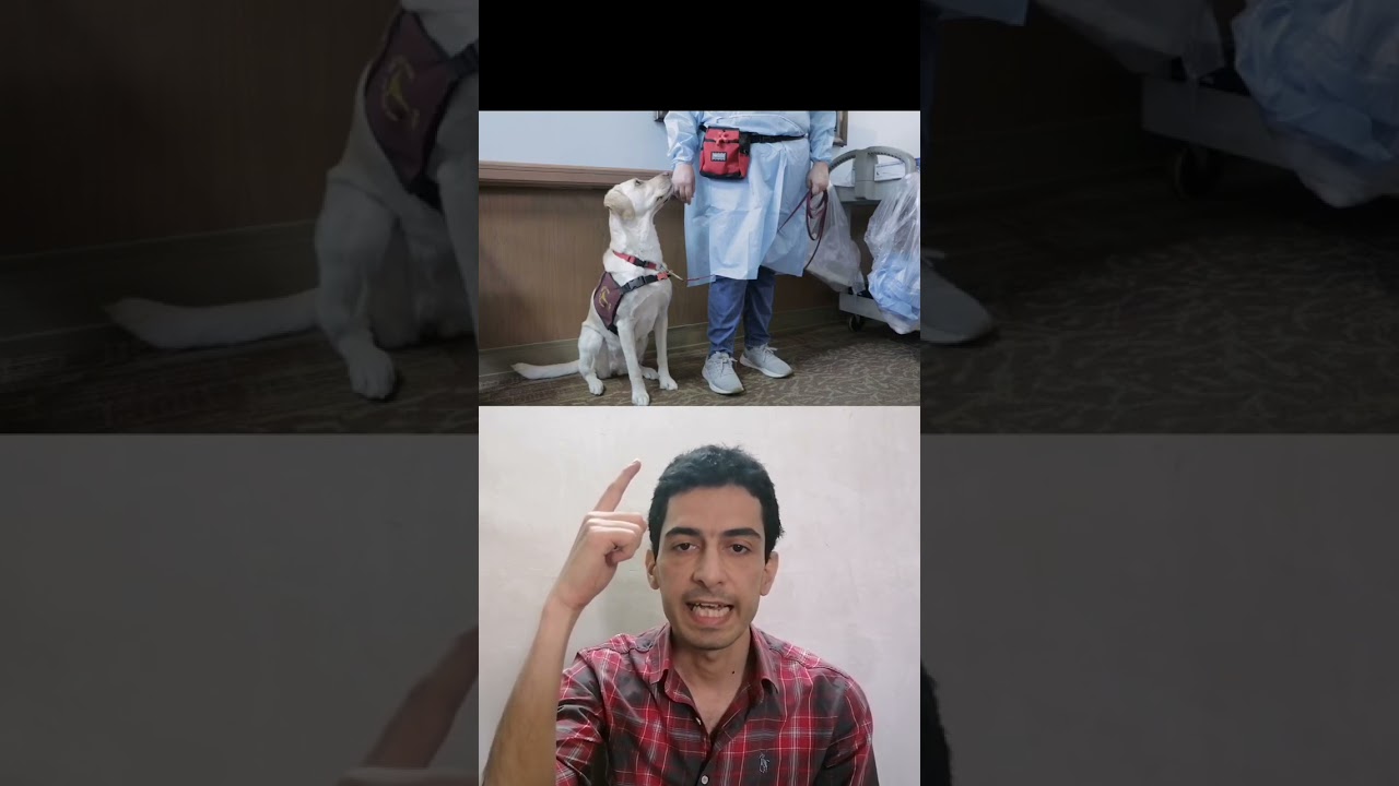 The Unique Jobs Only Dogs Can Do 😍 #short