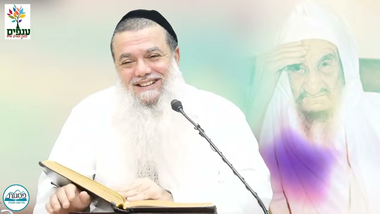 הרב יגאל כהן | הילולת הבבא סאלי זצו