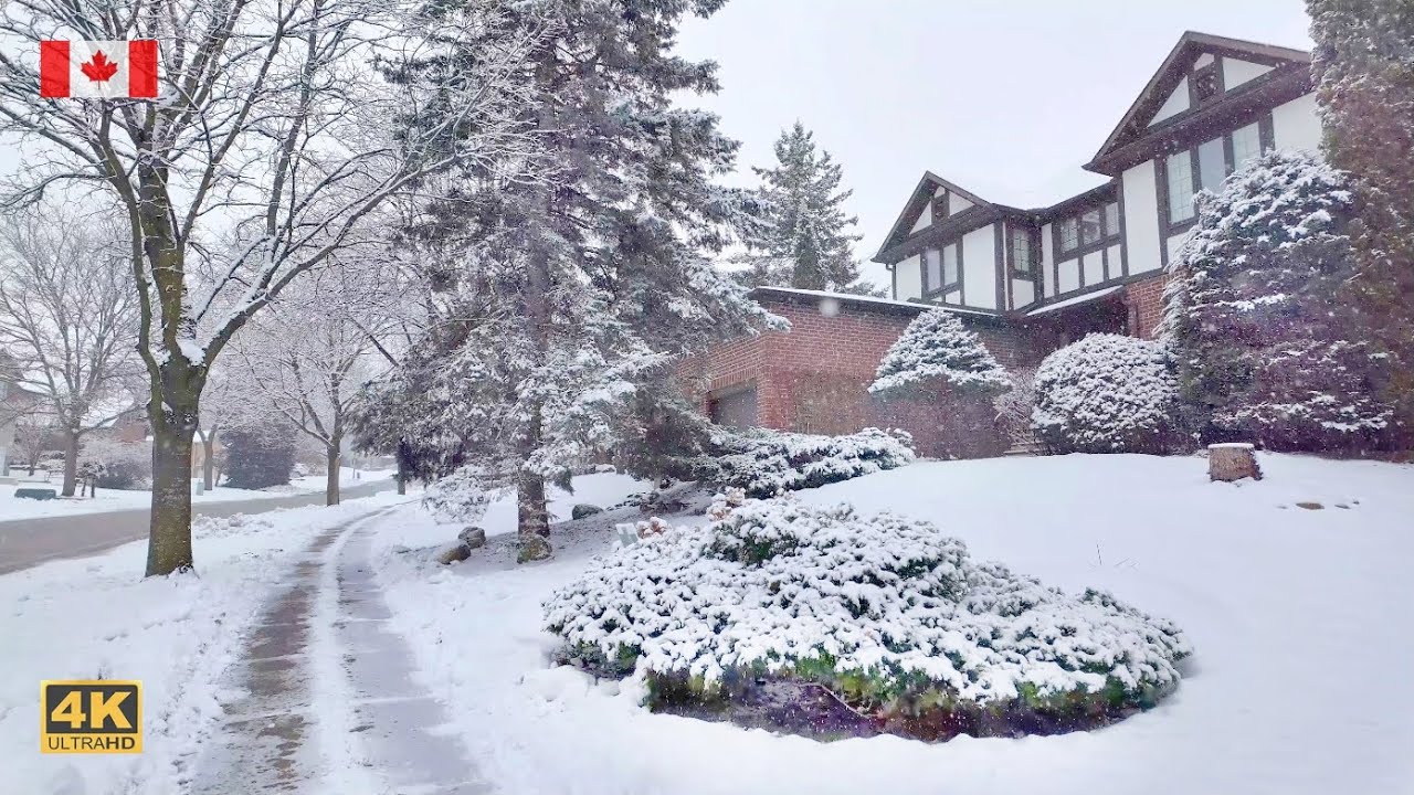 Relaxing Winter❄️Snow Walk and AURORA Homes in Toronto GTA area | 4K Canada 🇨🇦