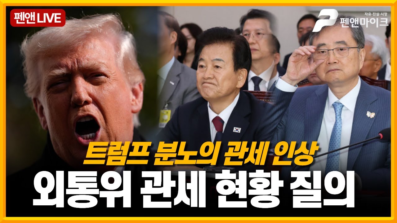 트럼프 관세 인상이 국힘 탓?[외통위 전체회의]