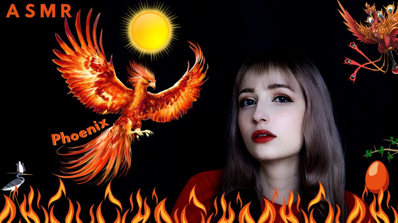 ASMR Mythology│Phoenix & Vermilion Bird 🔥