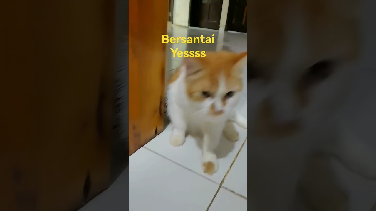 Bersantai....