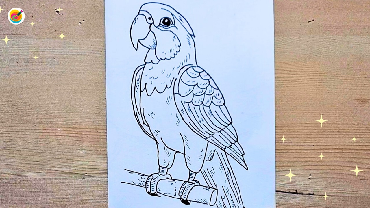 How to Draw a Parrot | Easy Bird Drawing Step by Step