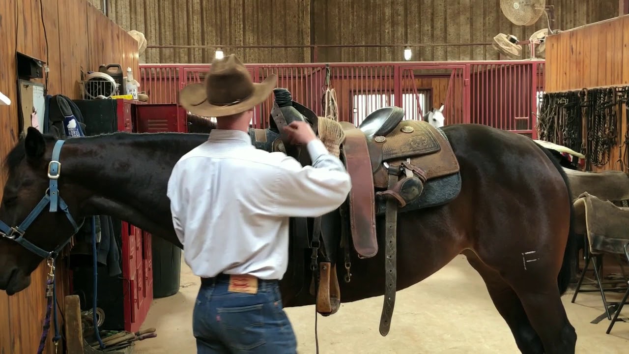 Safely Saddling a Working Cow Horse