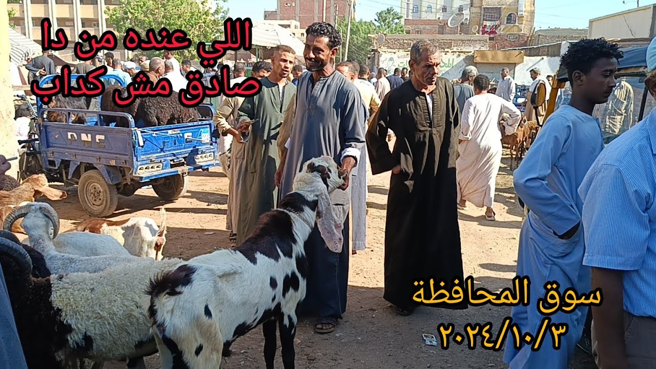 تغطيه كامله لأسعار الغنم والماعز داخل سوق الخميس بمحافظة أسوان اليوم ٢٠٢٤/١٠/٣