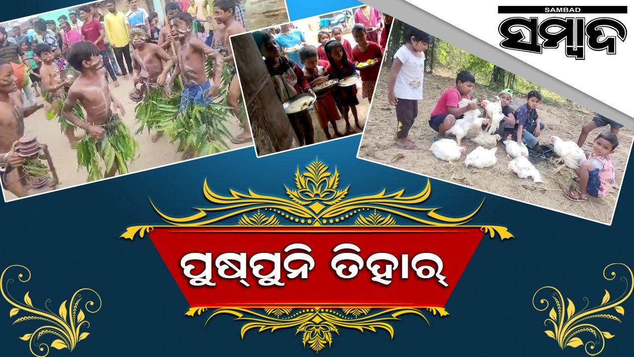 Special Story: Puspuni Festival Celebrated In Balangir | Sambad