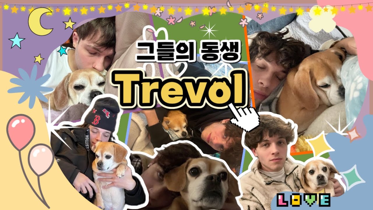 [스터니올로 덕질 계정] 그들의 하나뿐인 동생 Trevol. 강아지 트레버와 스터니올로들의 케미는 10 out of 10