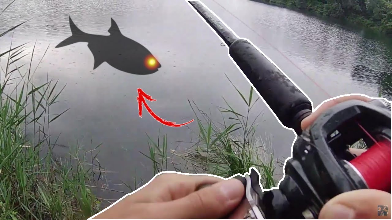 J'attrape un Poisson aux Yeux Rouges Ultra Rare en Pêchant le Brochet !