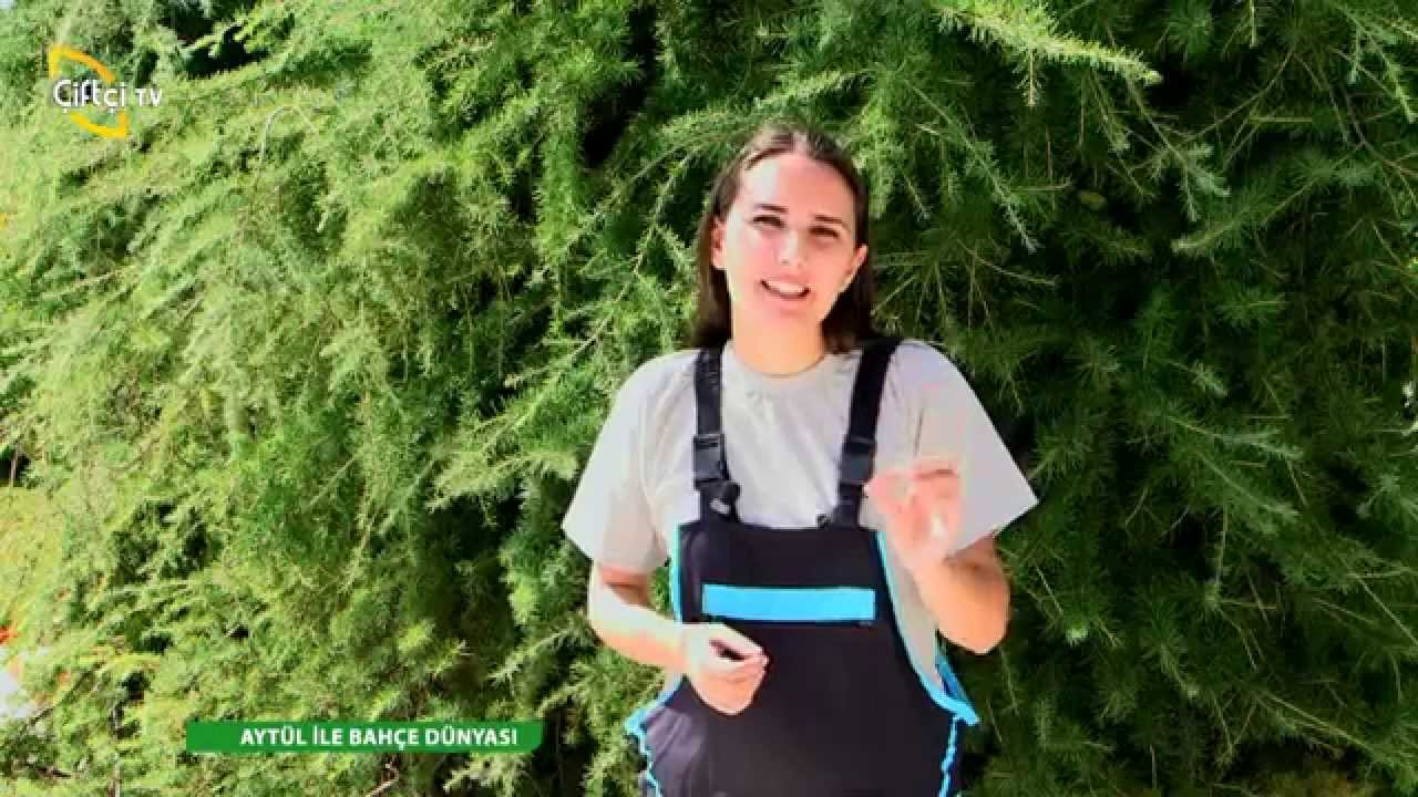 BAHÇE DÜNYASI - BAHÇE PEYZAJI