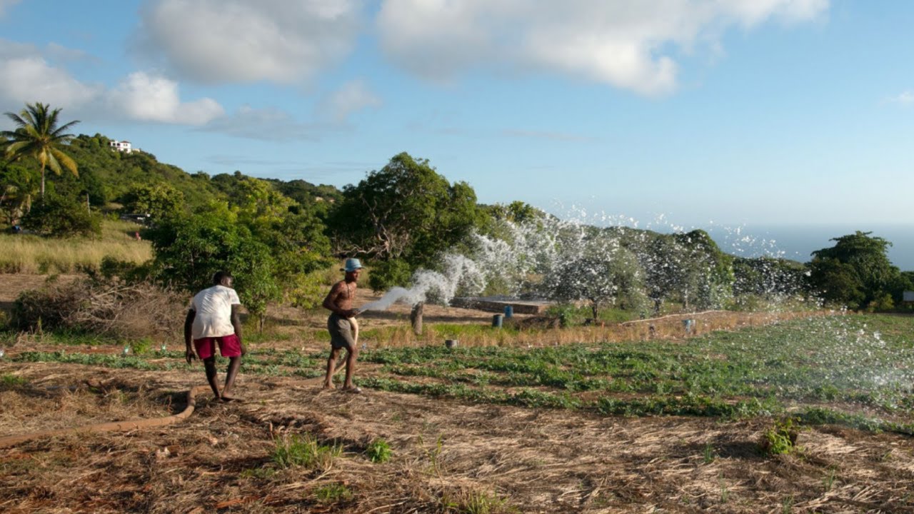 Bridging the Climate Science-Practice Divide through Community Engaged Research