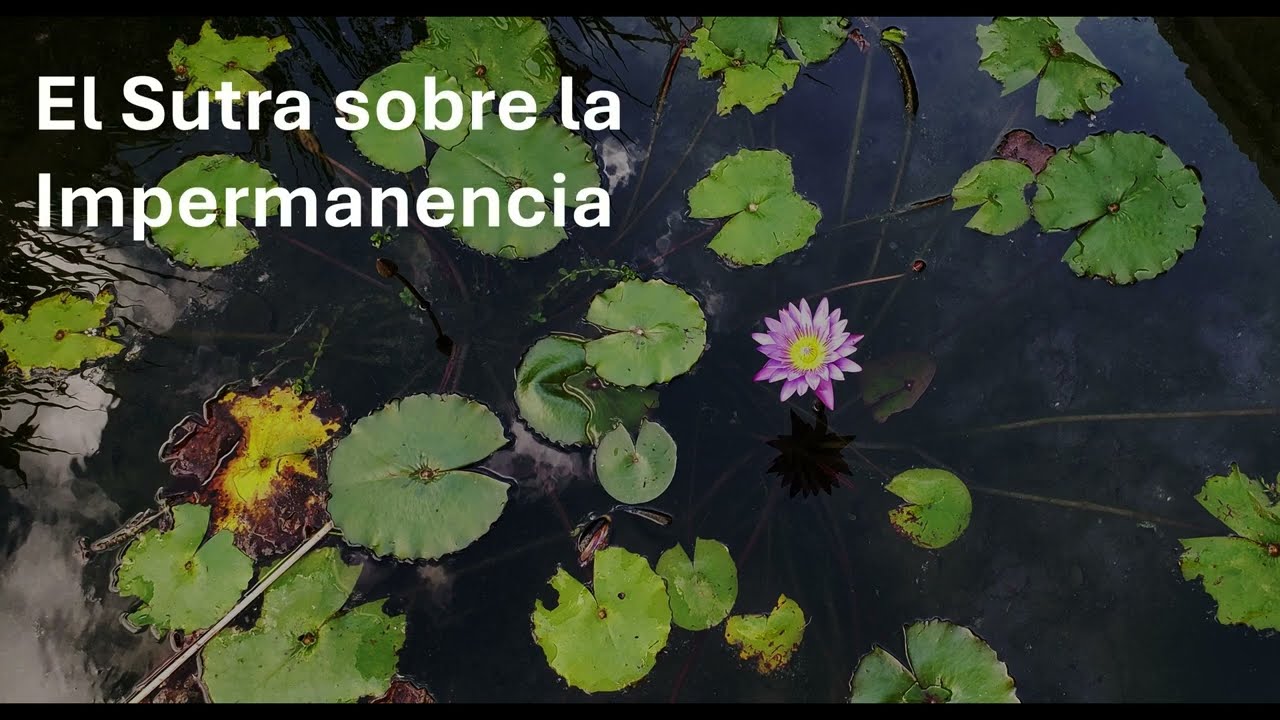 El Sutra sobre la Impermanencia