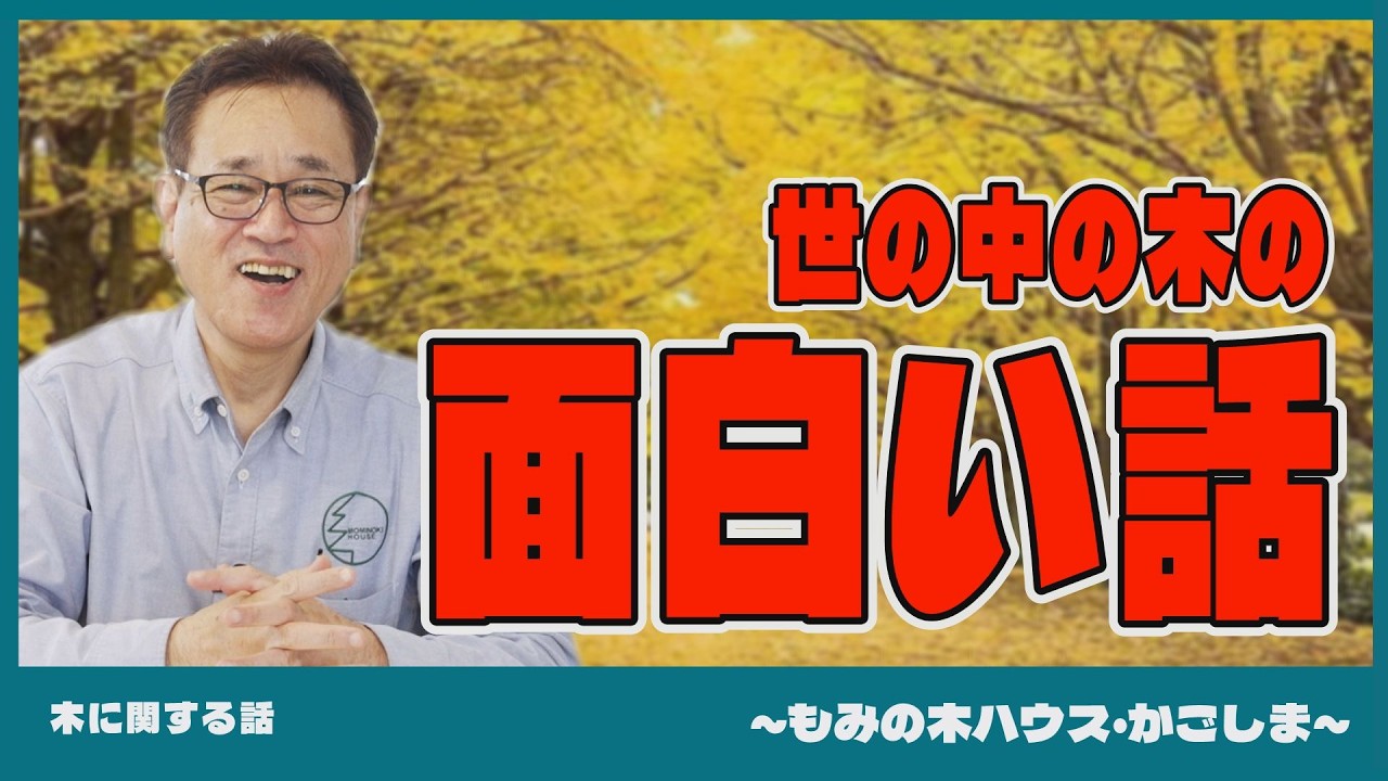 【木に関する話】世の中の木の面白い話【もみの木ハウス・かごしま】