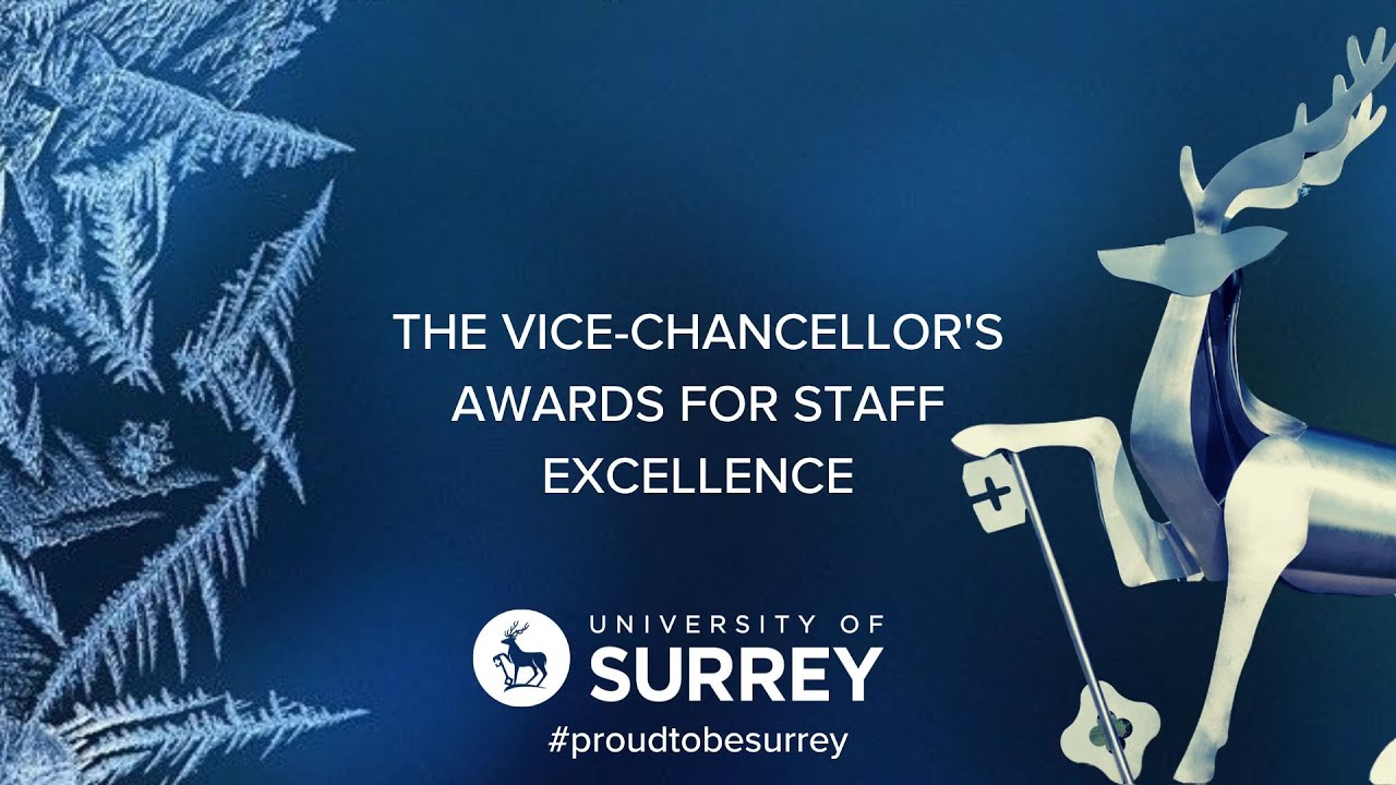 The Vice-Chancellor’s Awards for Staff Excellence 2024 | University of Surrey