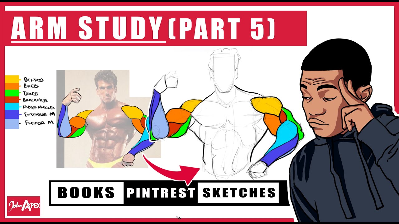 Arm anatomy study! reference breakdown + personal notes PART 5