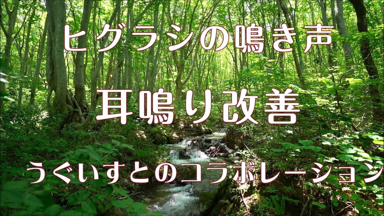 【耳鳴り治療音】耳鳴りに効果大 ヒグラシの鳴き声とうぐいすのコラボレーション小川のせせらぎ
