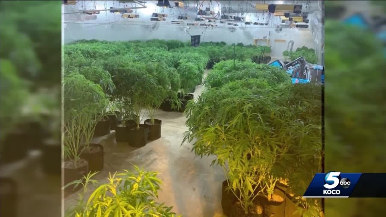 Oklahoma Bureau of Narcotics operation seizes over $500 million of marijuana