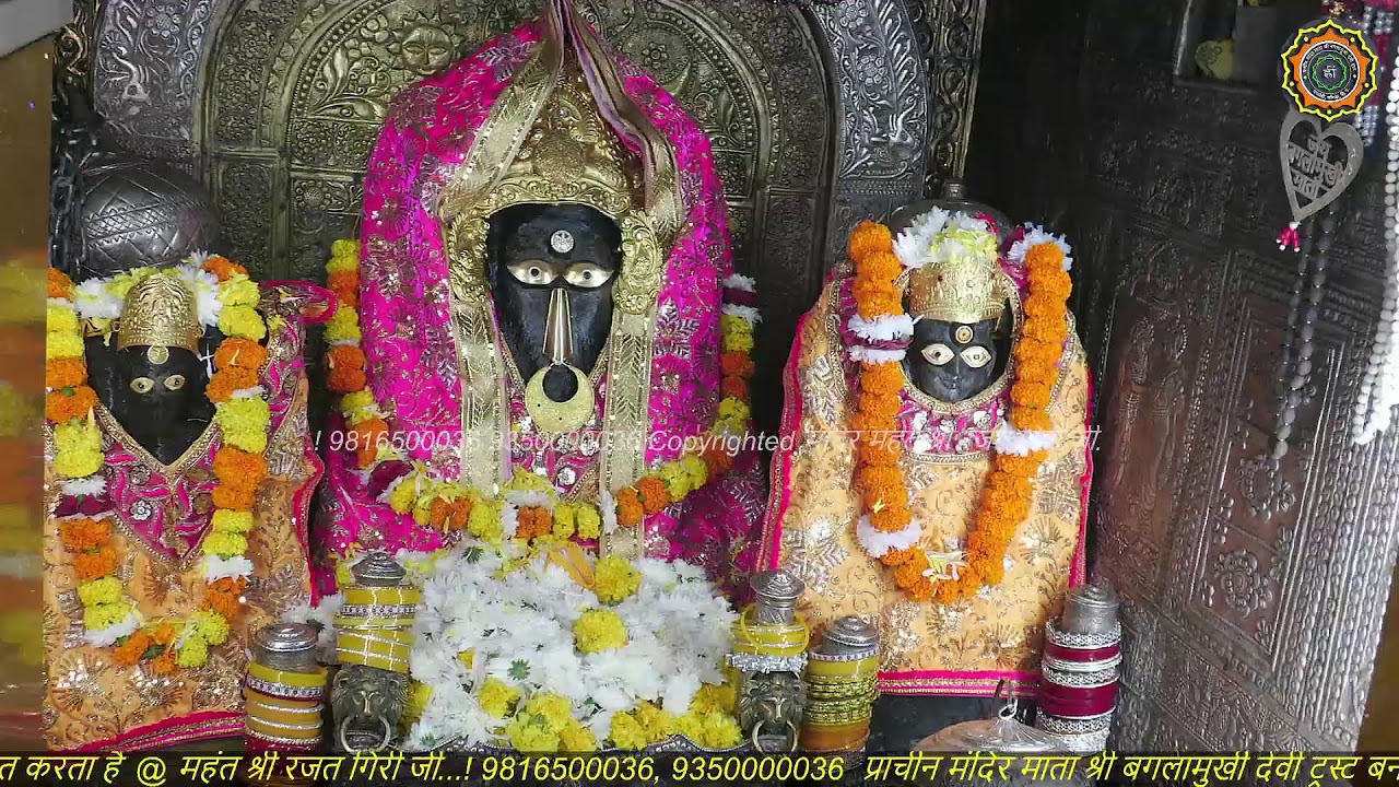 Maa Baglamukhi Official_Live Darshan_mahant shree Rajat giri ji_