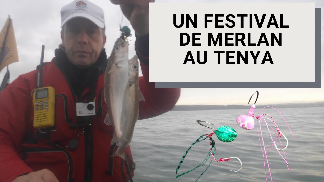 Comment JE PÊCHE le merlan au tenya