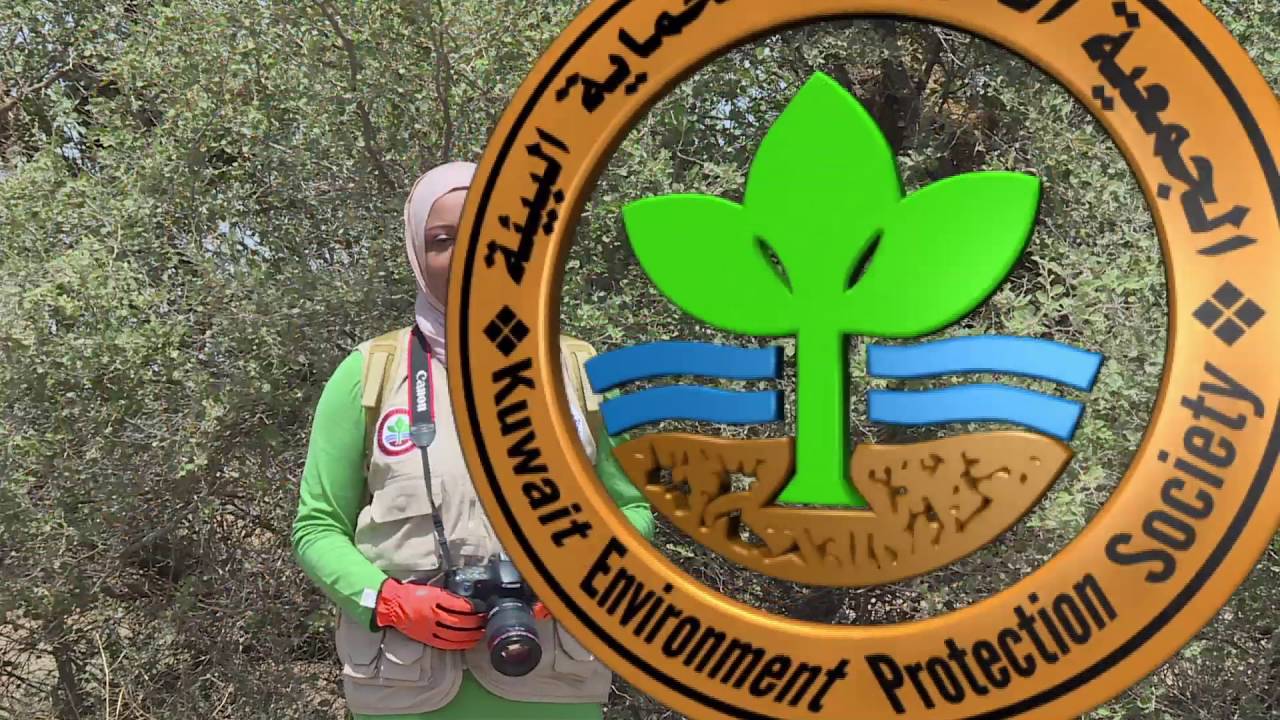 برنامج كل يوم نبتة حلقة نبات السدر البري الحلقة الثالثة