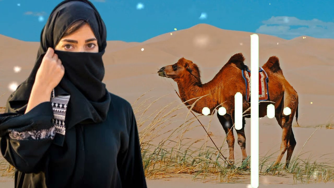 Best Ringtone | Islamic Ringtone Arabic | Arbi Ringtone | Arabic Ringtone | Tune Lock