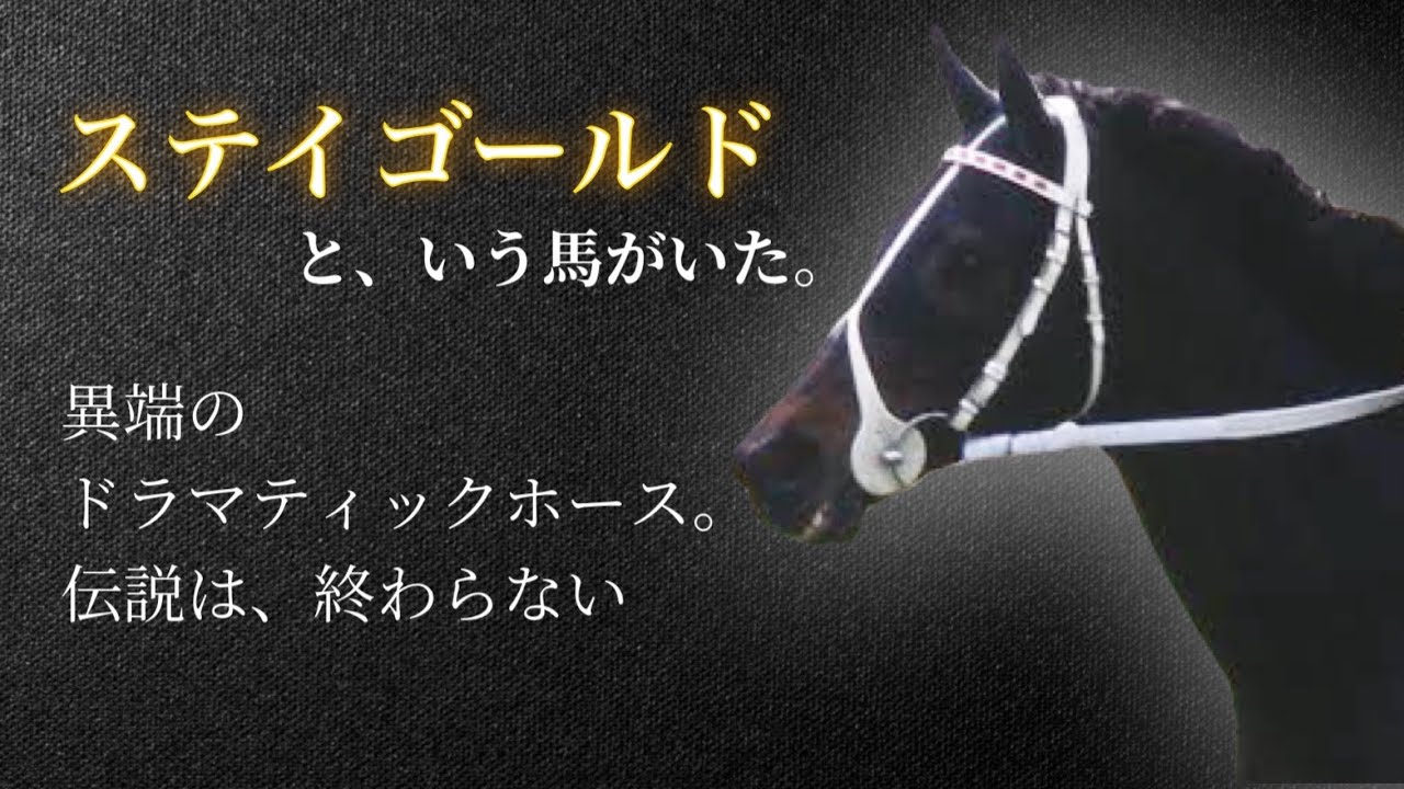 【暴君の父】ステイゴールド🐎🏇👑