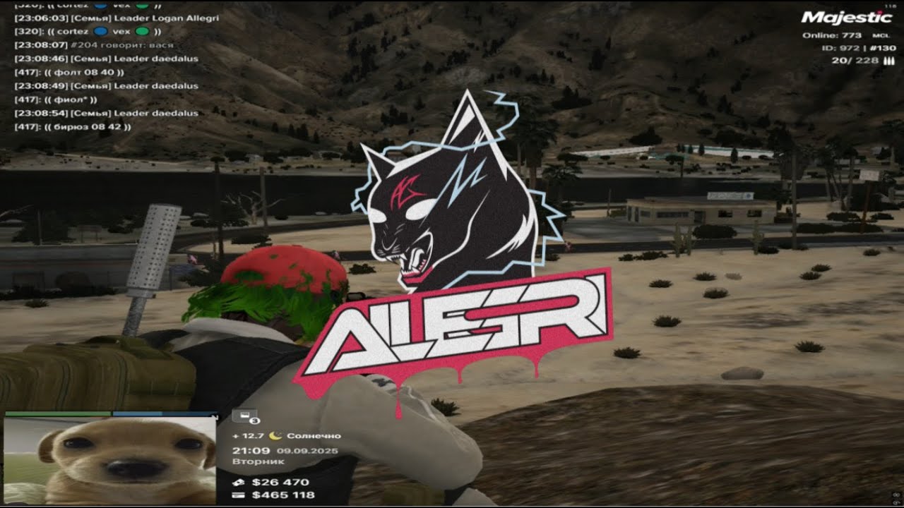 450 dpi king / allegri famq