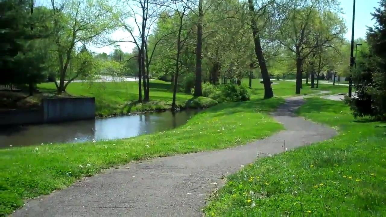 Lexington Ky Neighborhood Tour by The LEXpert:  Willow Oak