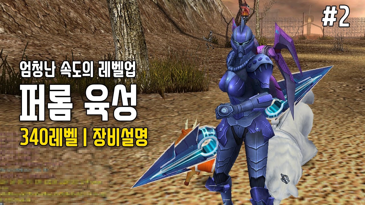 퍼롬 육성 2편 [이틀만에 340레벨 돌파 및 장비 설명] | 라그하임 Laghaim