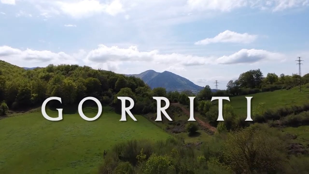 Gorriti
