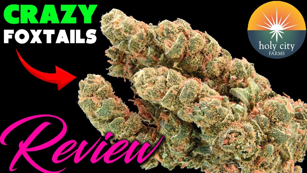 Цветы КБД типа 2 Pink Rainbowz и Diesel Fruitcake от Holy City Farms! | Обзор цветков конопли с КБД