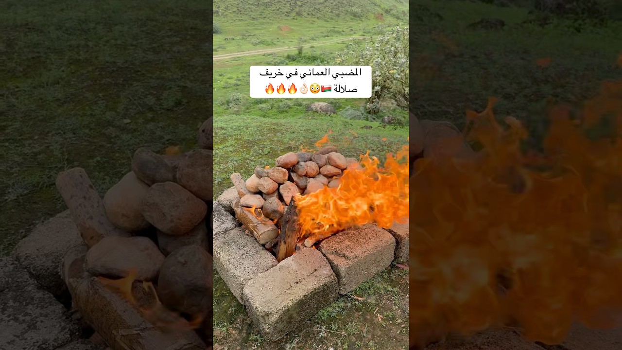 المضبي العُماني في خريف صلالة 🇴🇲☘️🤤🔥