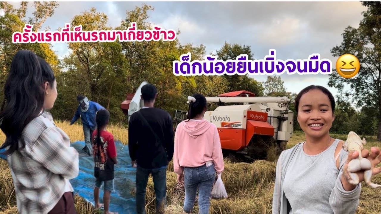 ລົດມາກ່ຽວເຂົ້ານາ ພາກັນຢືນເບິ່ງຈົນມືດ🇱🇦😂รถมาเกี่ยวข้าวนาครั้งแรกพากันยืนดูจนมืด
