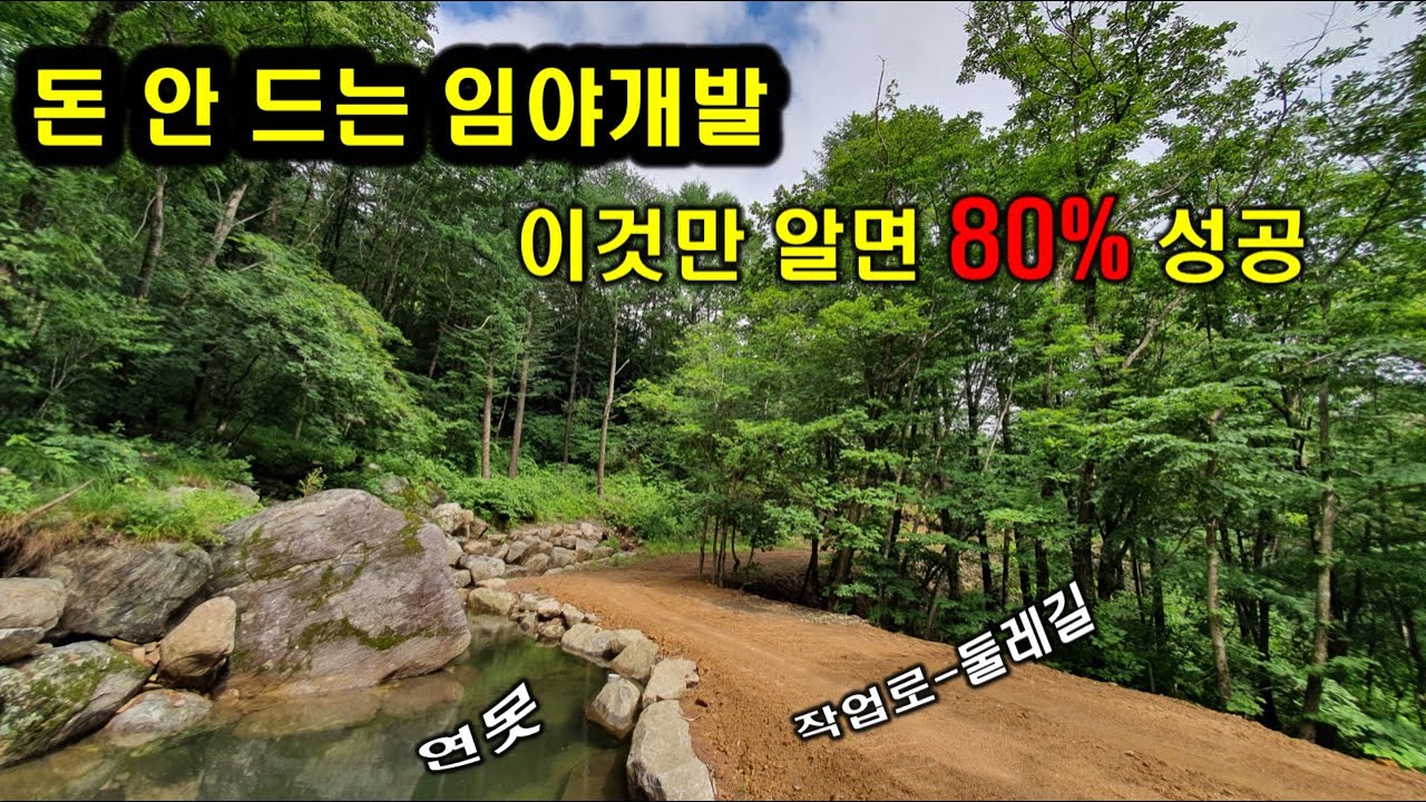 250만원으로 둘레길 만들어  관광지 만드는 방법