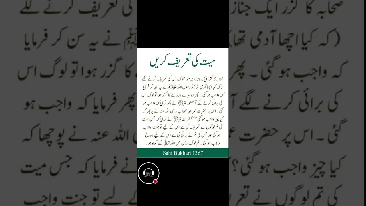 The Quran Voice | live videos