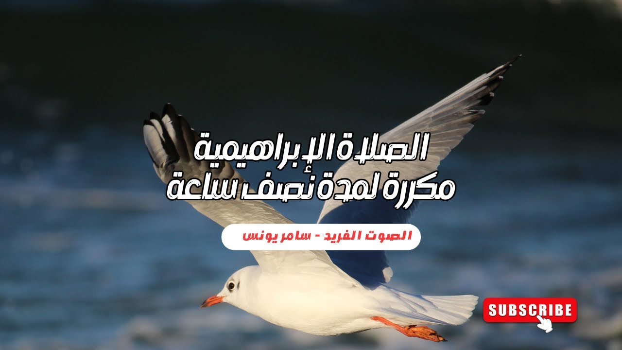 الصلاة الإبراهيمية مكررة لمدة نصف ساعة * أداء سامر يونس