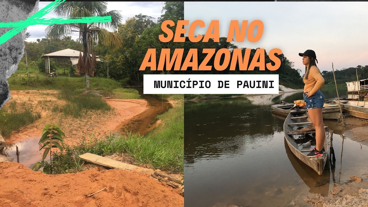 SECA NO AMAZONAS 2023, PAUINI