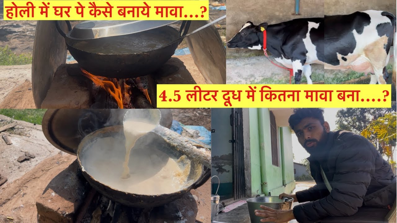 होली में घर पे कैसे  बनाये मावा …? || 4.5 लीटर दूध का कितना मावा बना …? || holi special 