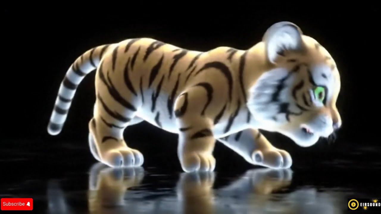 3D Hologram Animals Video Compilation - Fish, Panda, Hummingbird