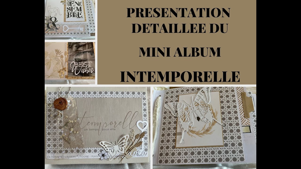 PRESENTATION DETAILLEE DU MINI INTEMPORELLE