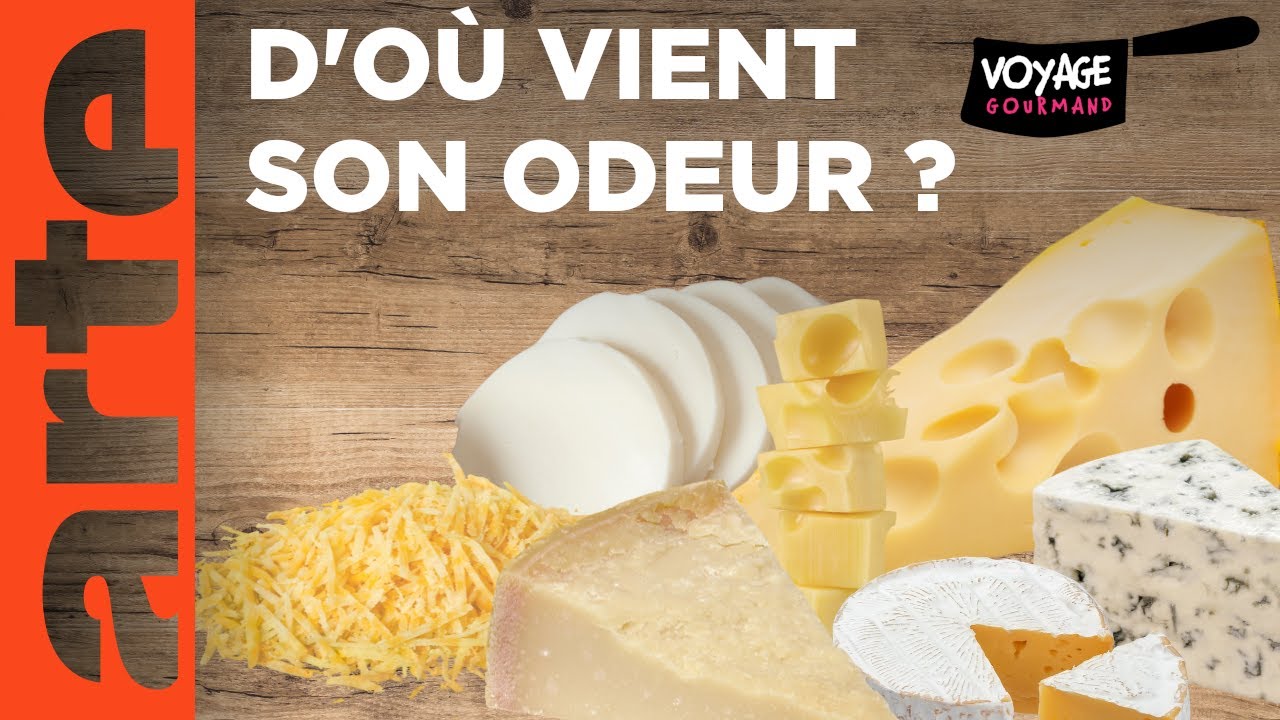 Tout sur le fromage | Voyage gourmand | ARTE Family