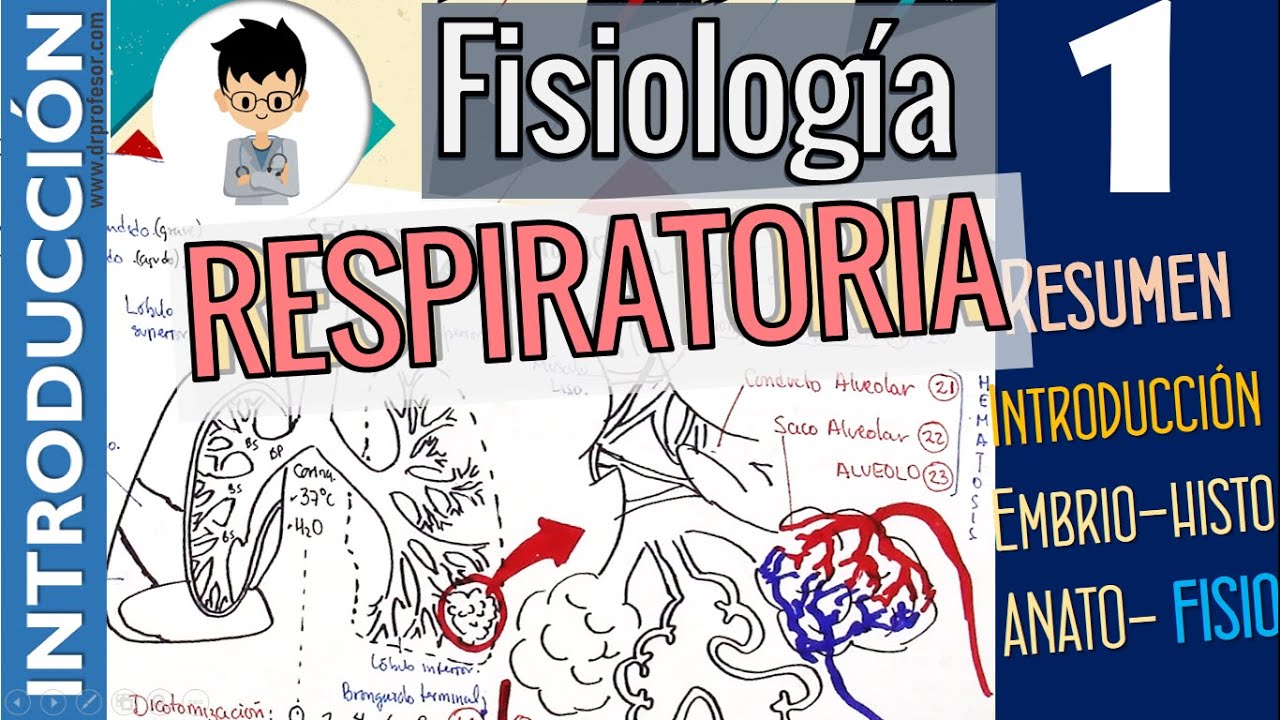 Fisiología Respiratoria, INTRODUCCIÓN, RESUMEN, GENERALIDADES, | Parte 1