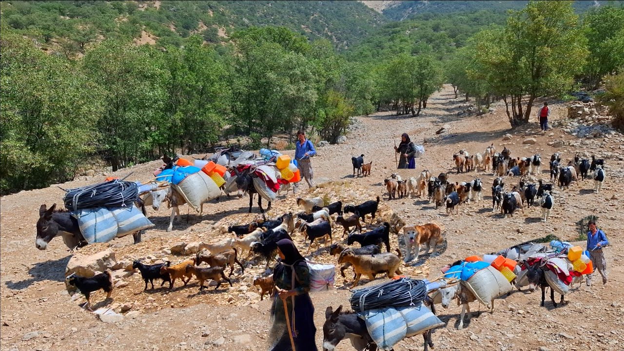 Эпическое кочевое путешествие 🐑 | Тяжёлая, но прекрасная жизнь в диких горах ⛰️
