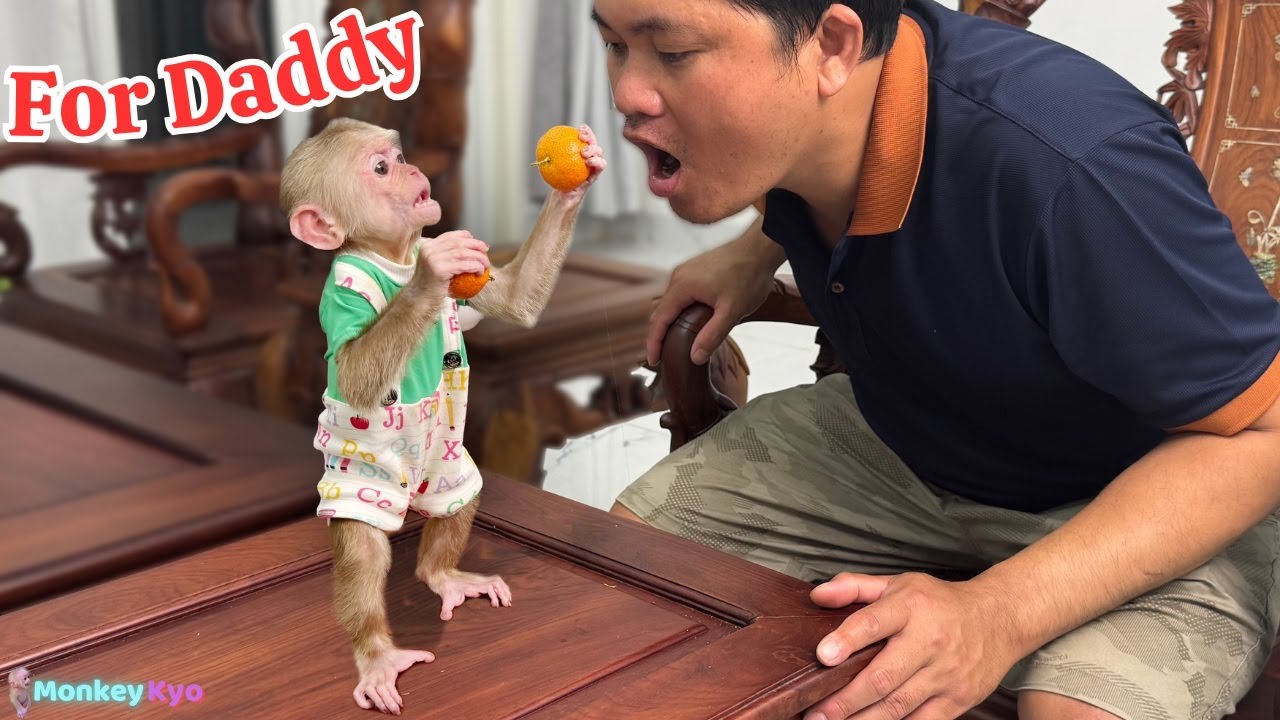 Kyo invites Dad to eat fruit and do an adorable bedtime routine!