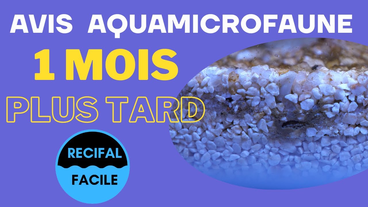 Faut-il acheter de la microfaune ?