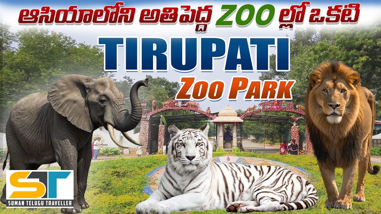 Tirupati Zoo Full Tour | Sri Venkateswara Zoological Park | Suman Telugu Traveller
